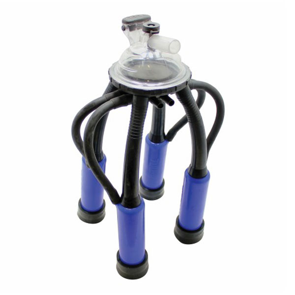 200 cc / Rubber Liners / Blue Shells